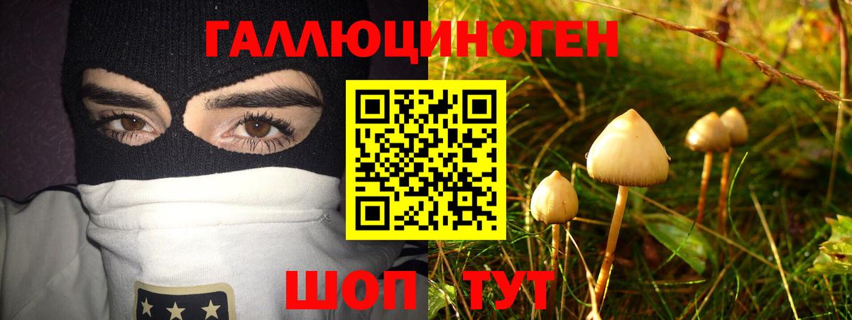 Тобольск  Псилоцибиновые грибы мицелий  Вход с VPN 